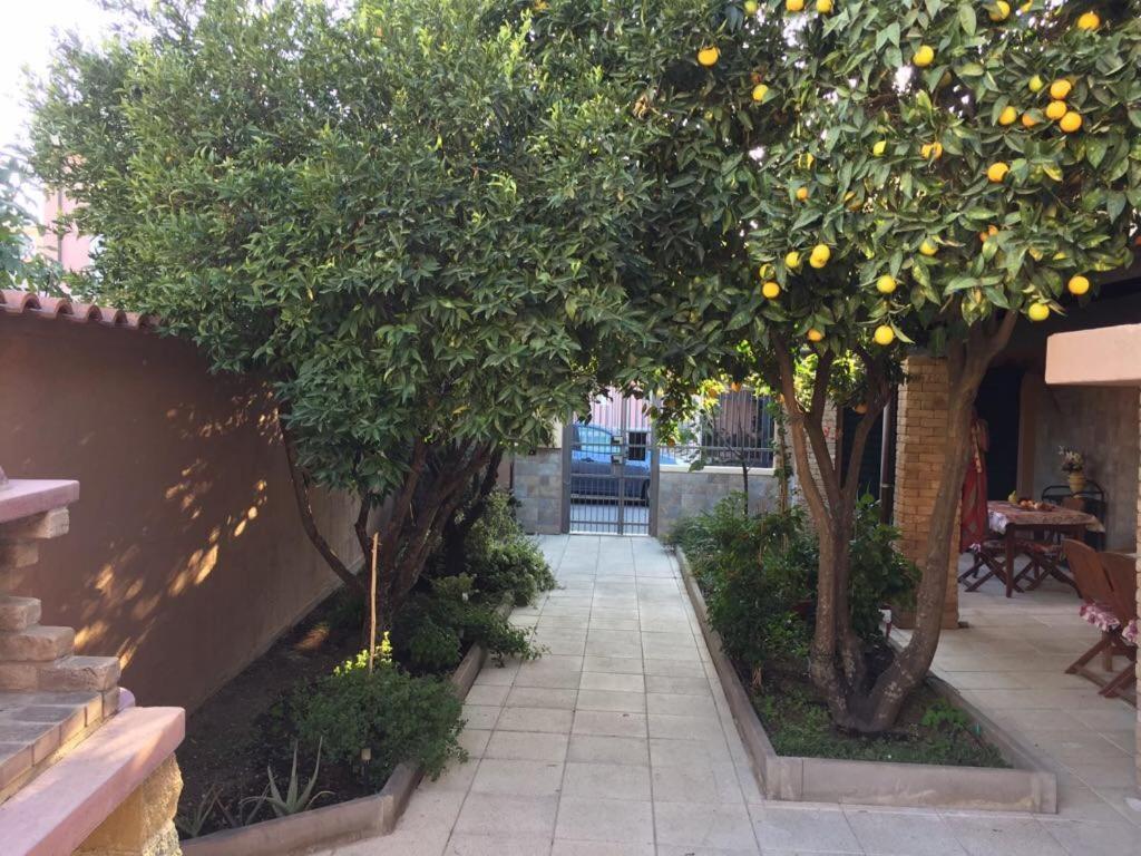 Il Mandarino Bed & Breakfast Decimomannu ภายนอก รูปภาพ