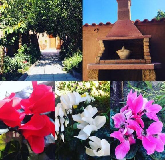 Il Mandarino Bed & Breakfast Decimomannu ภายนอก รูปภาพ